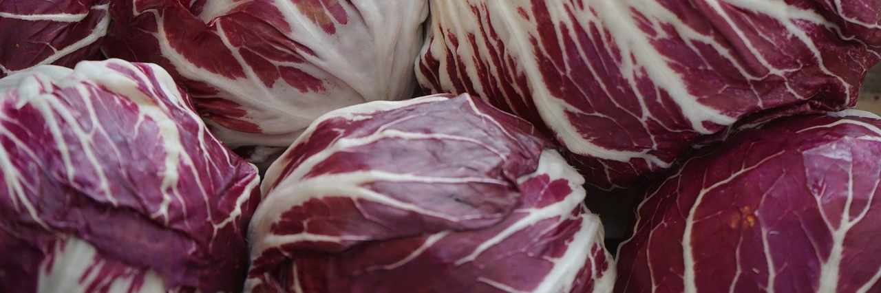 Chicory cover image