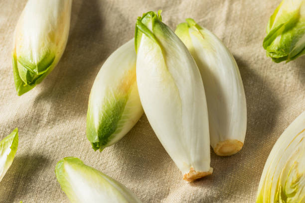 Endive