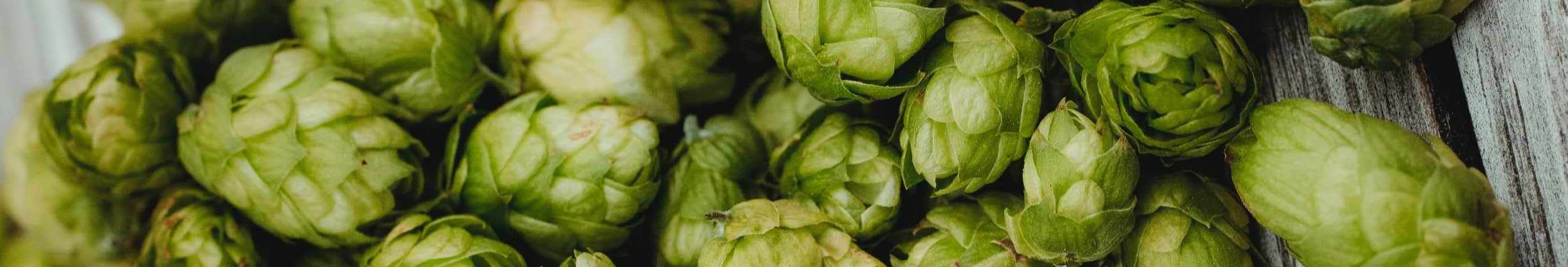 Hops cover image