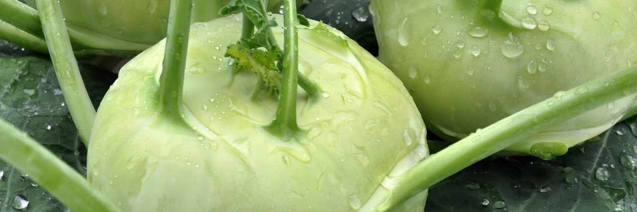 Kohlrabi cover image