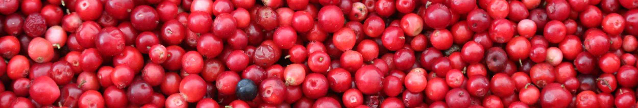 Other Berries cover image