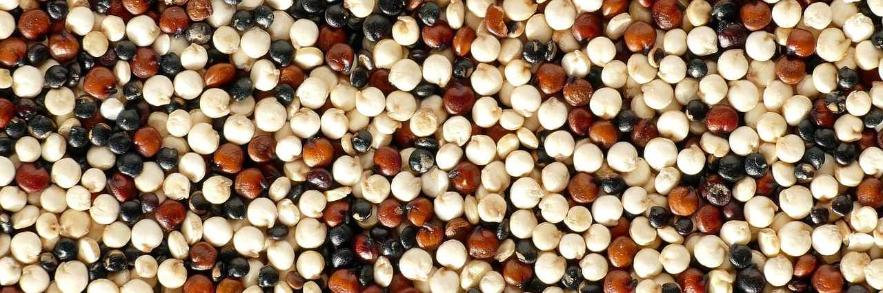 Quinoa cover image