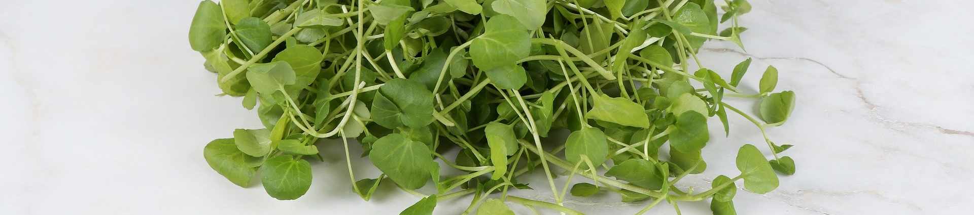Watercress cover image