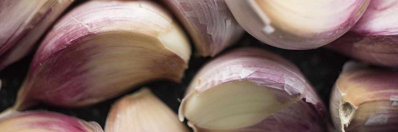 Garlic cover image