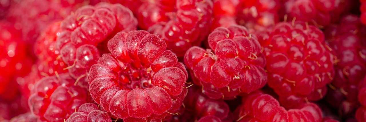 Raspberries cover image