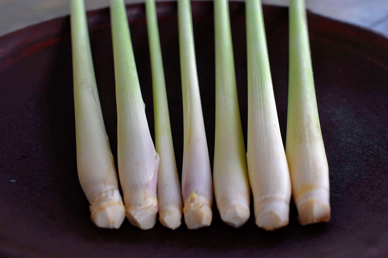 Image of Lemongrass