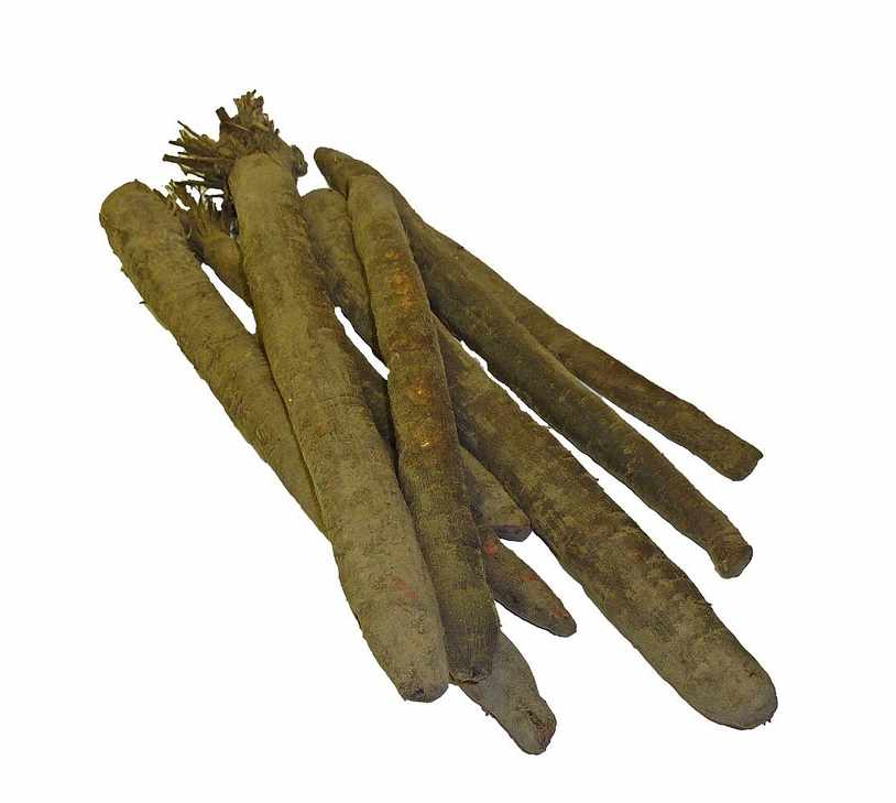 Salsify roots