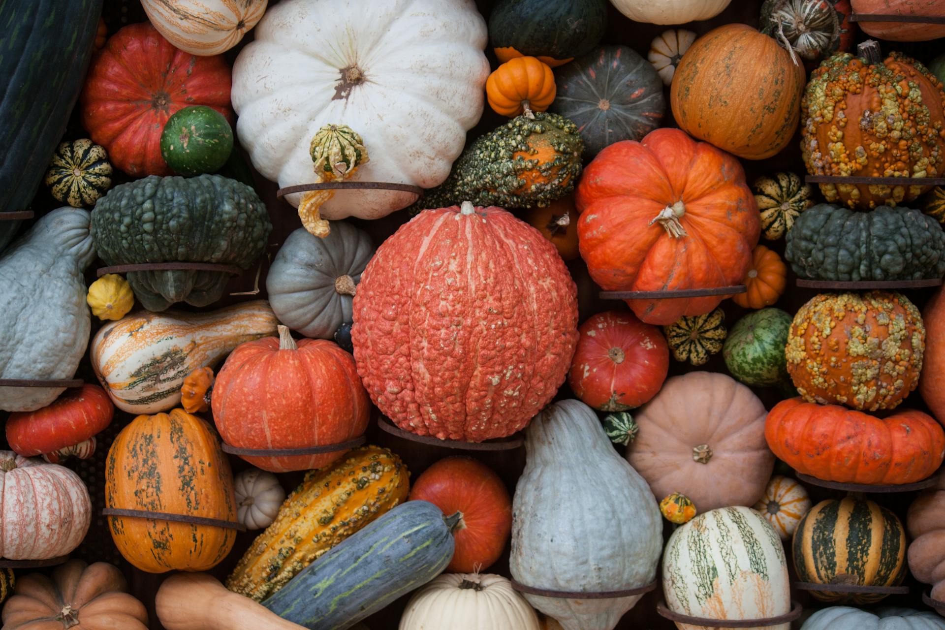 Various Winter Squash