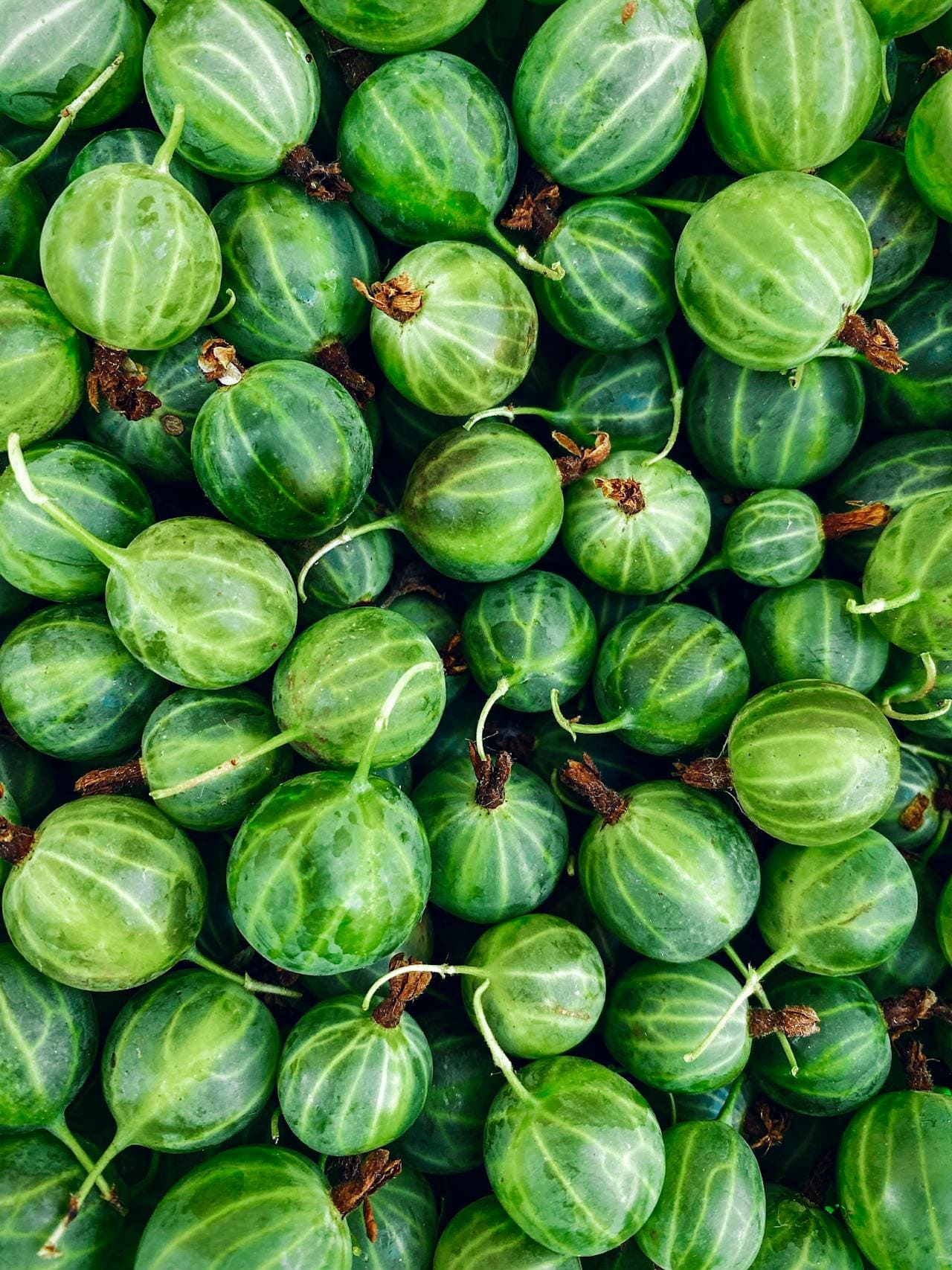 Gooseberries
