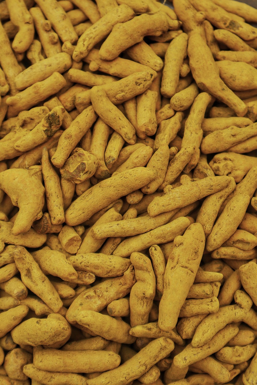 Turmeric roots
