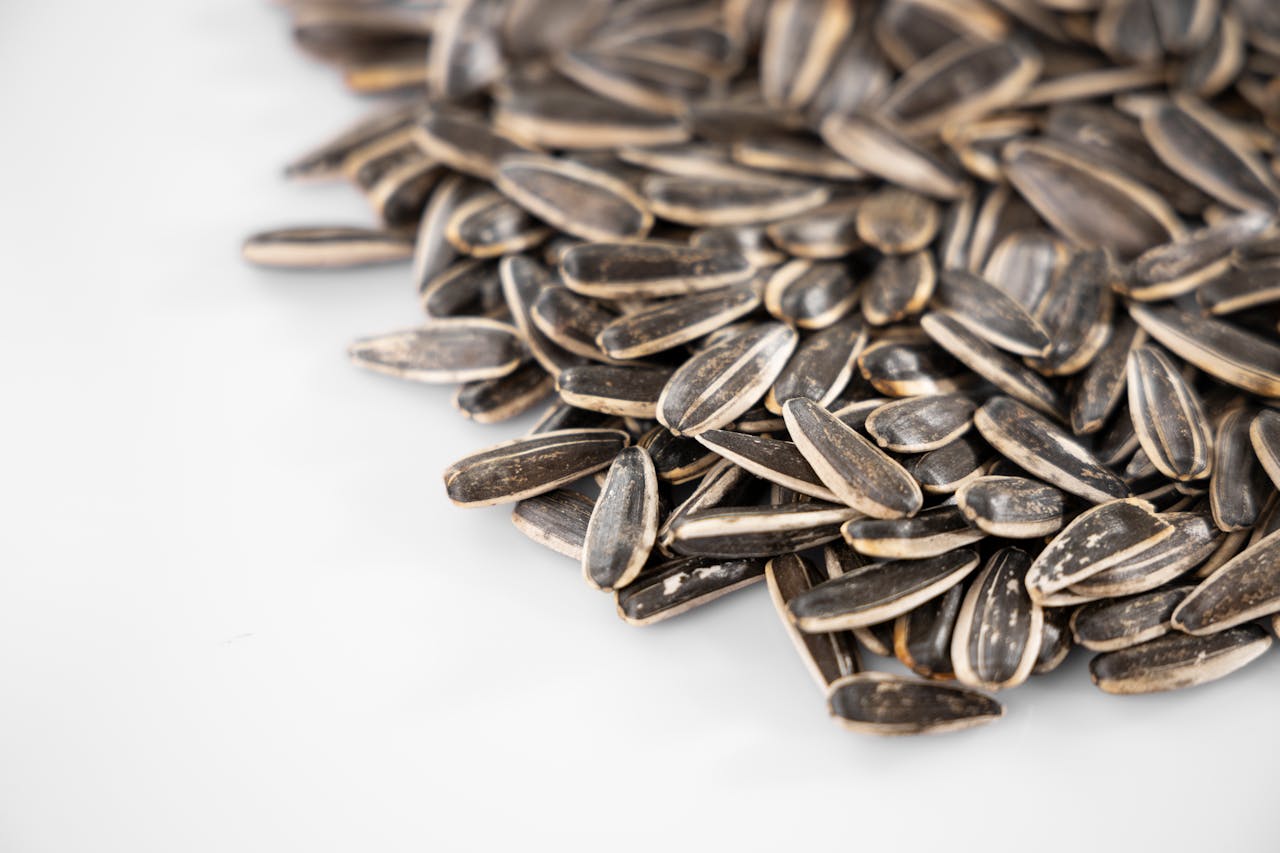 A pile of sunflower seeds on a white counter