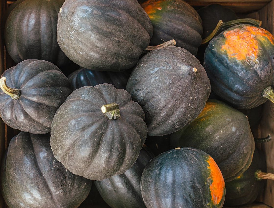 A pile of Acorn Squash