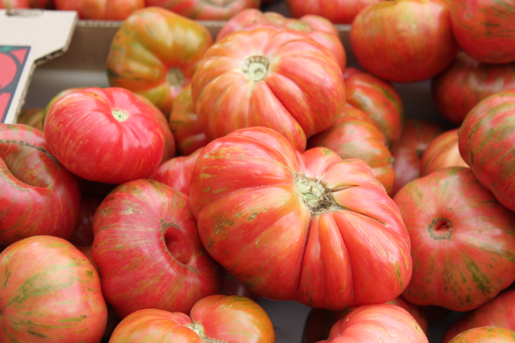 A pile of large Beefsteak Tomatoes