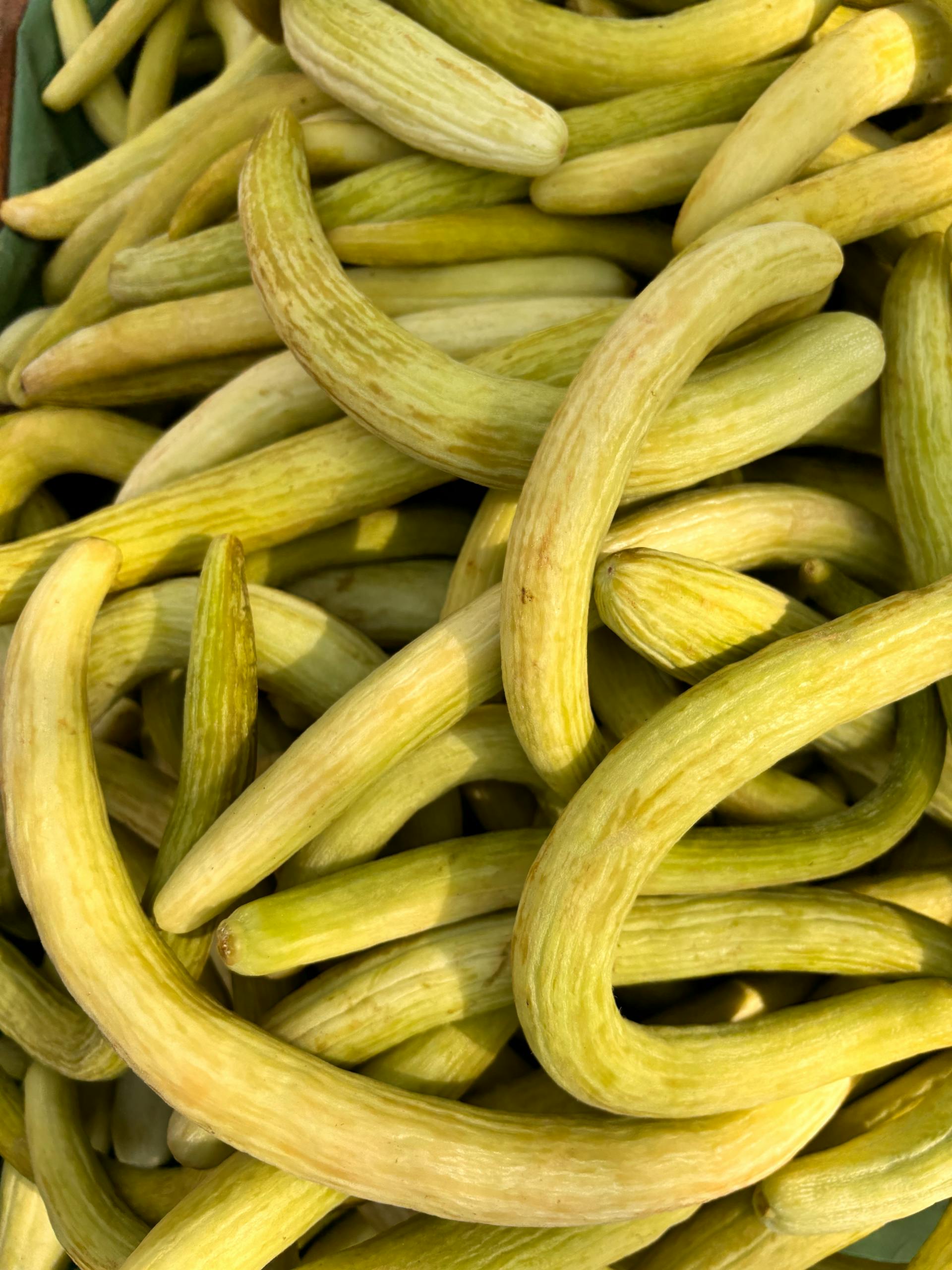 A pile of Blonde Cucumbers