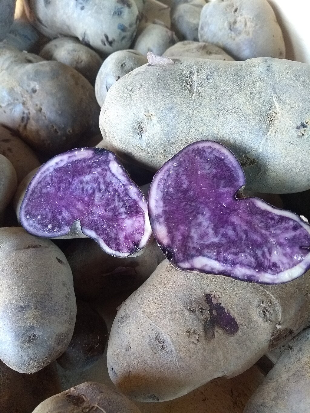 A Blue Potato cut in half on top of other Blue Potatoes