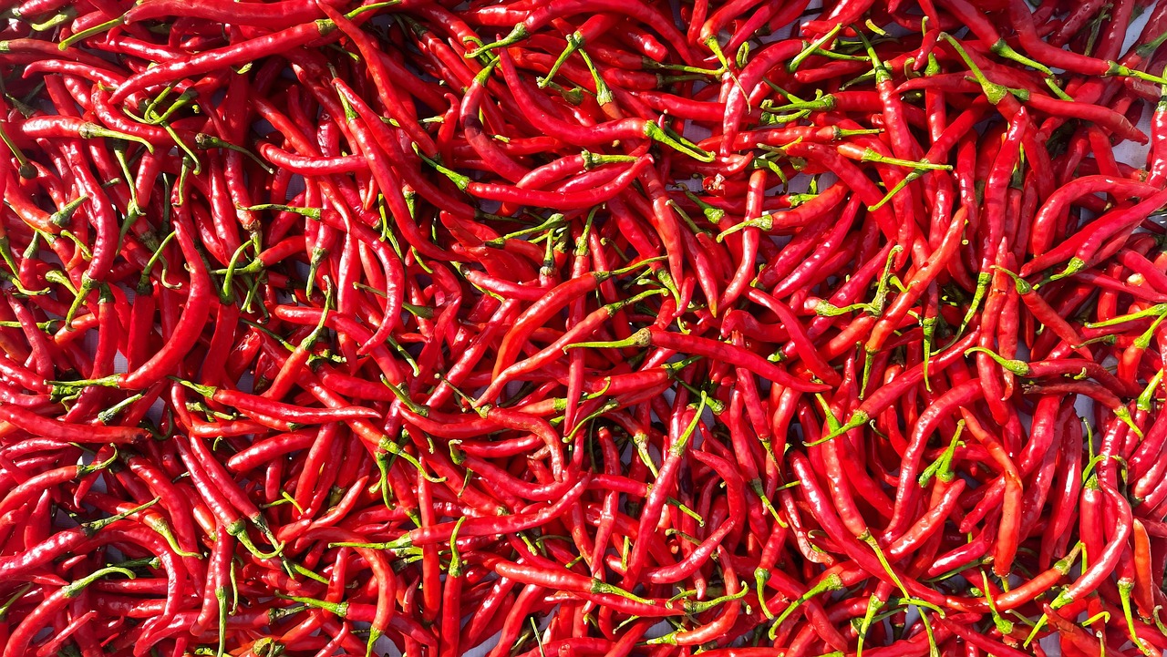 A large pile of red Cayenne Peppers