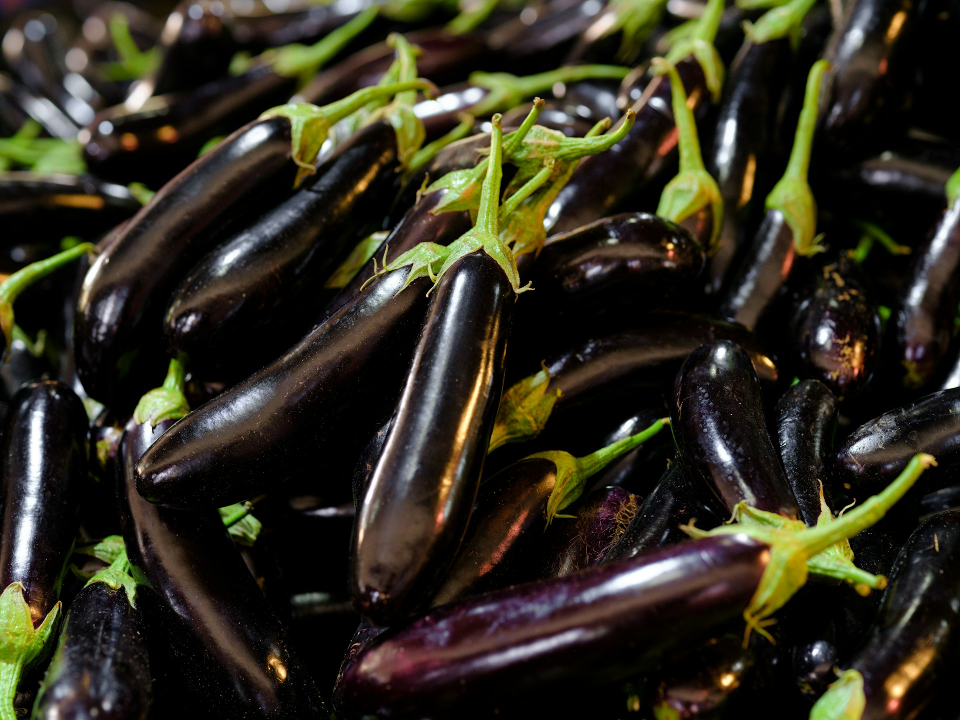 A pile of Diamond Eggplants