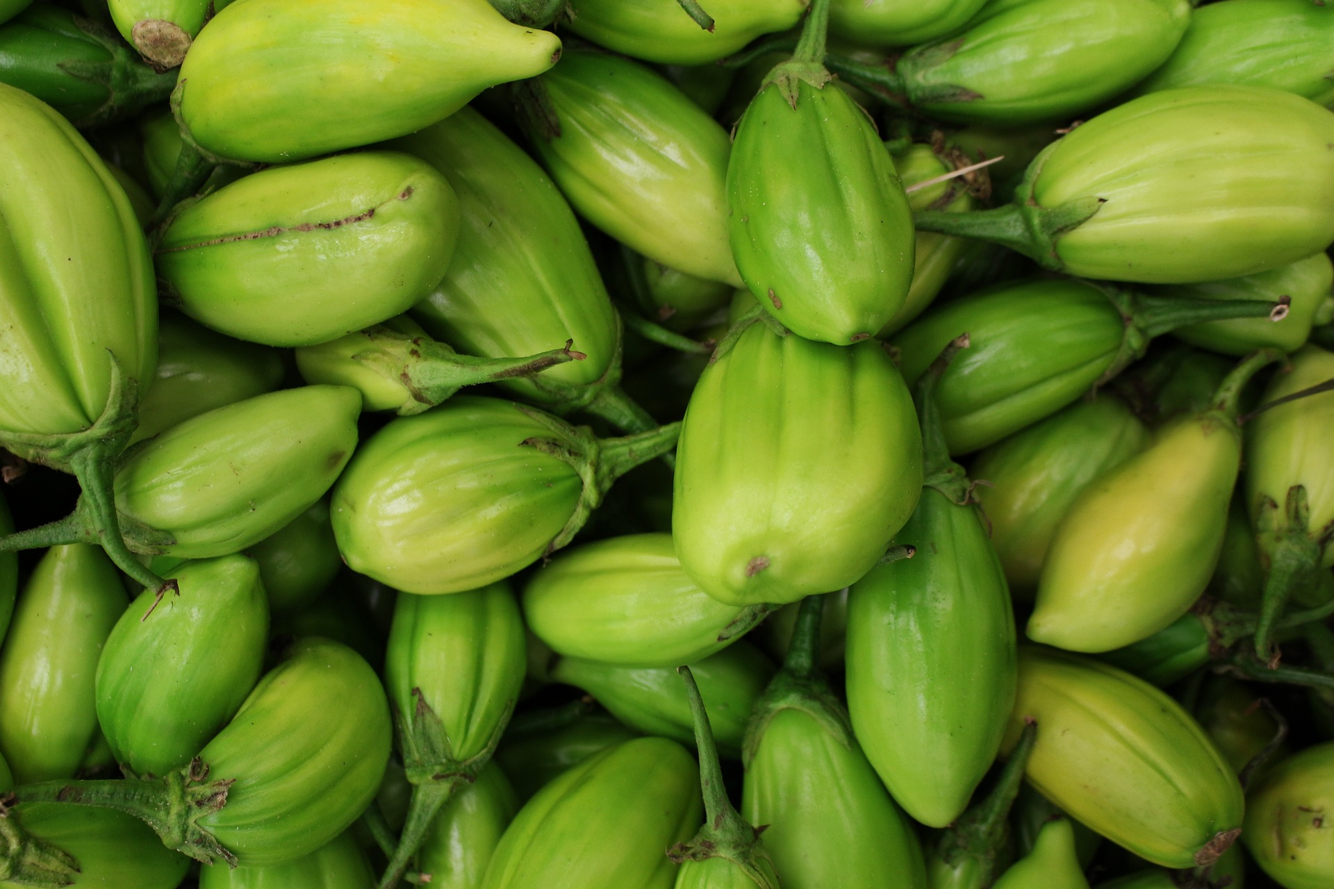 A pile of Green Eggplants