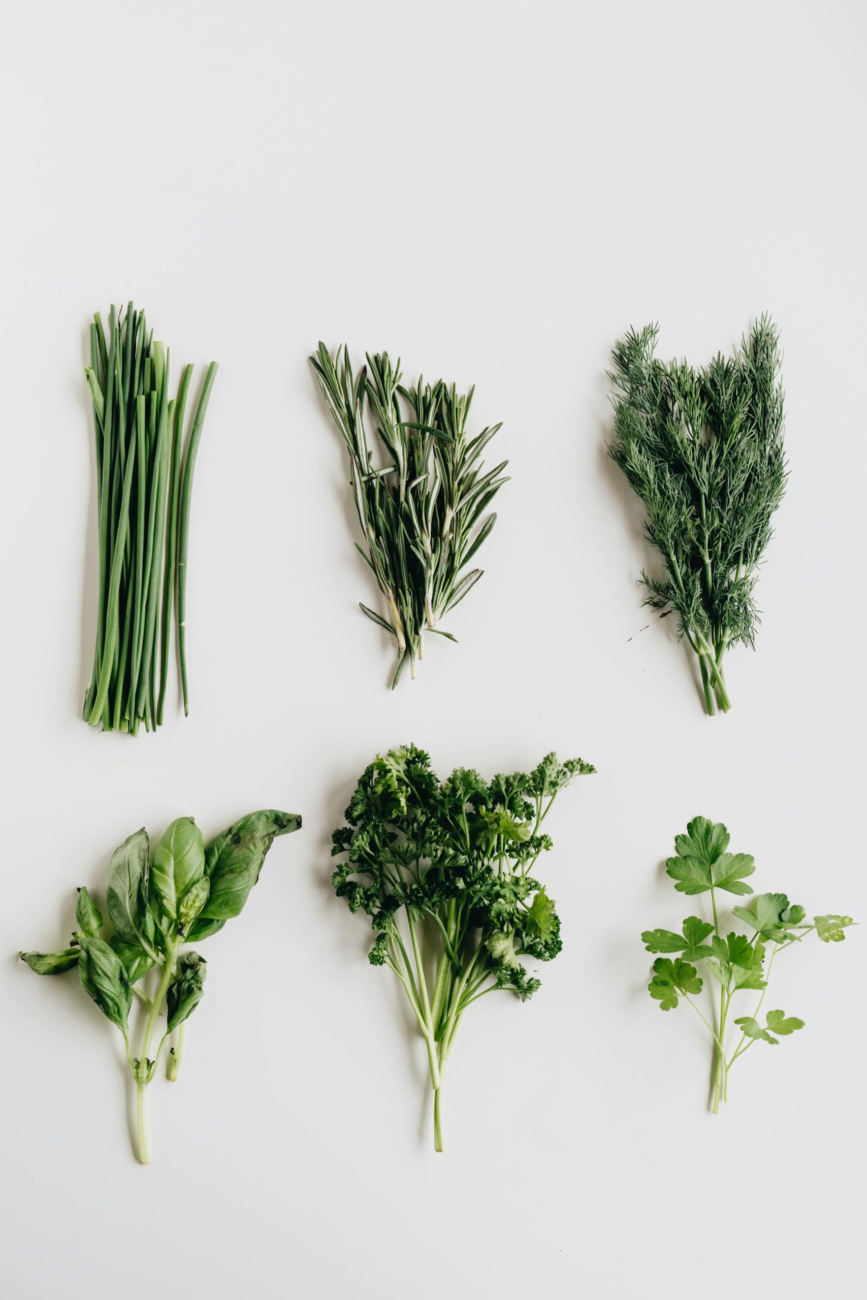 Herbs on a white counter