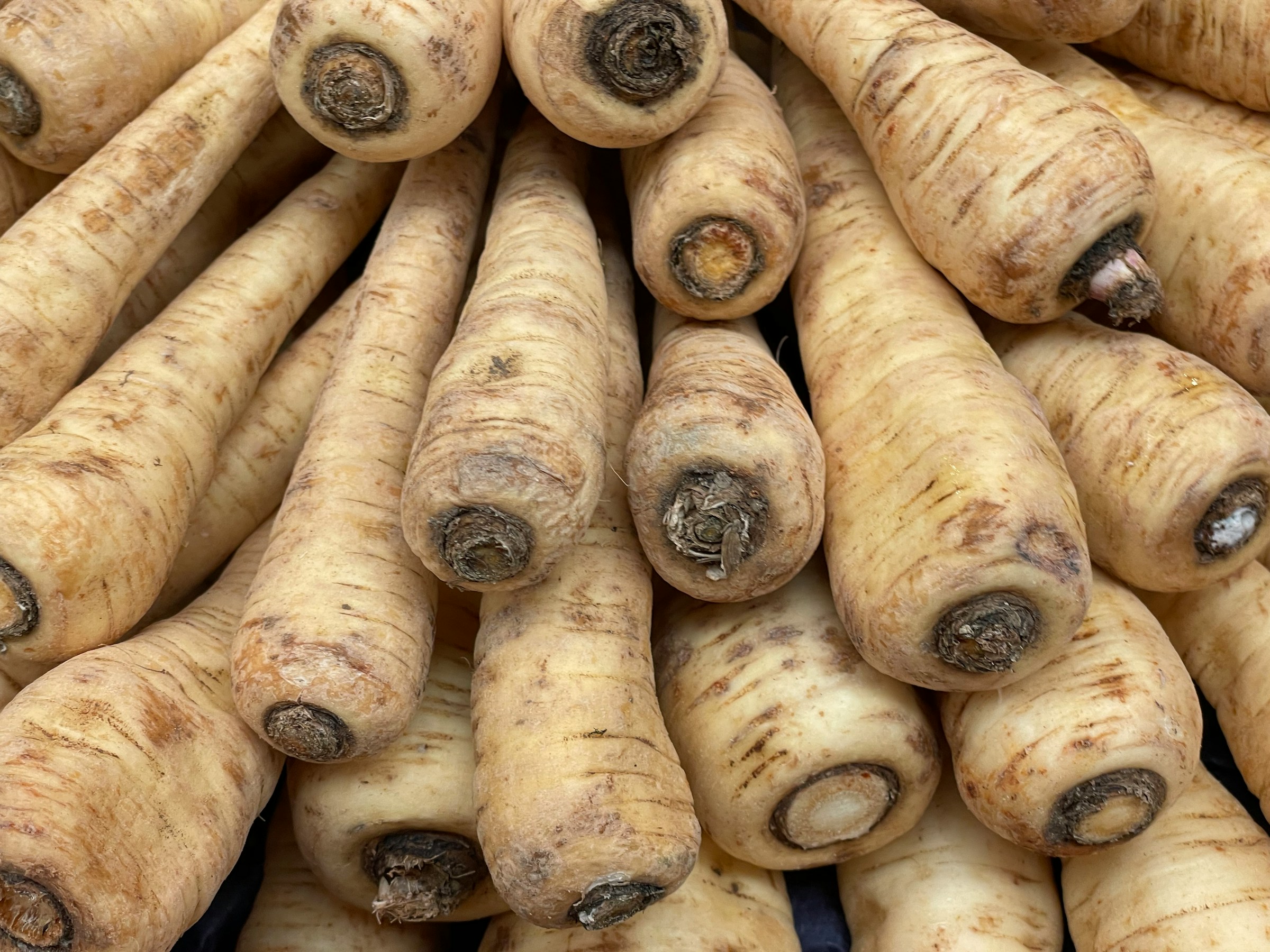 A stack of Hollow Crown Parsnips