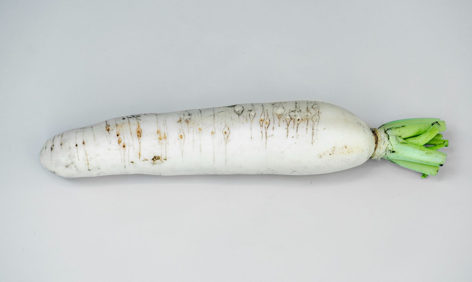 One Icicle Radish on a white background