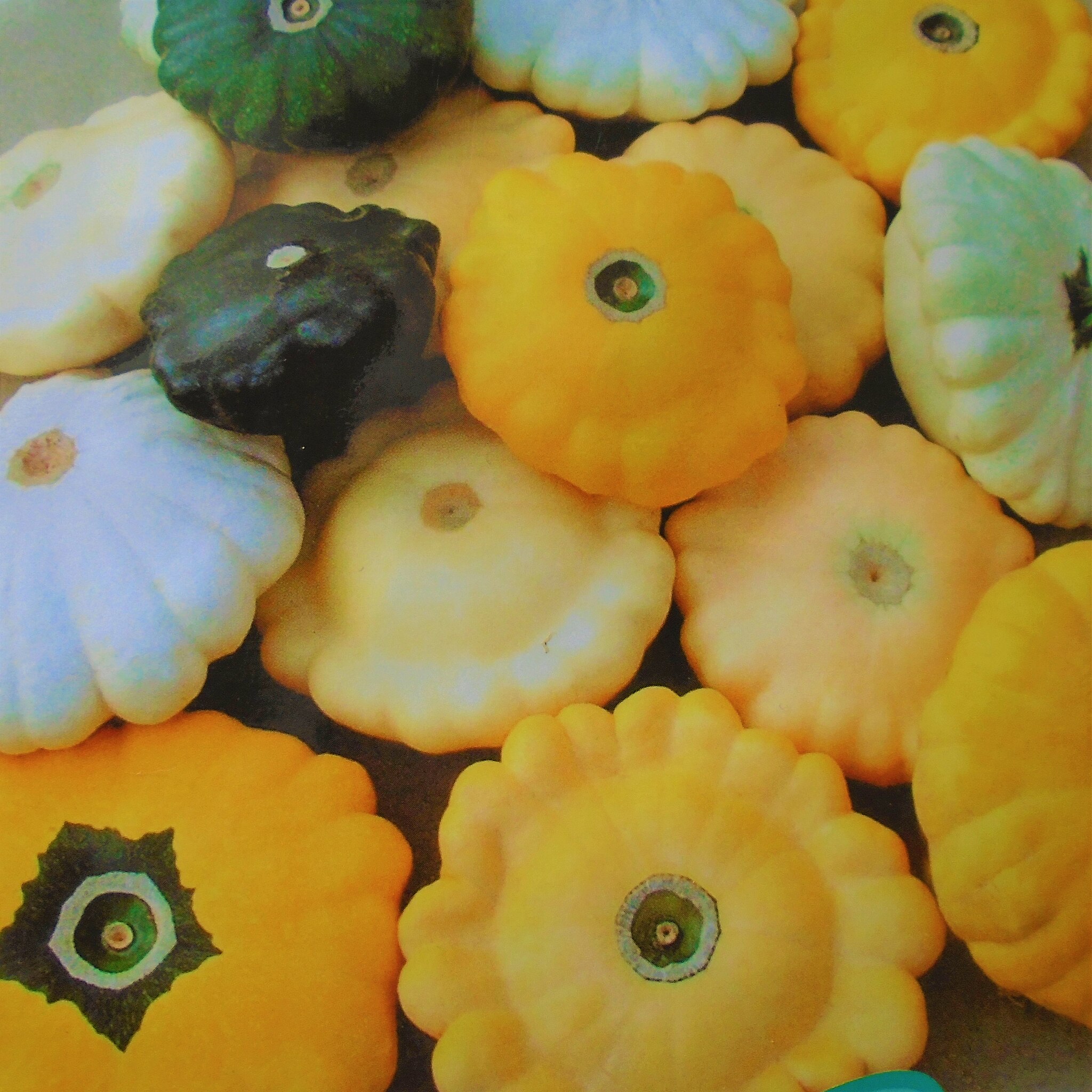 Pattypans in a pile