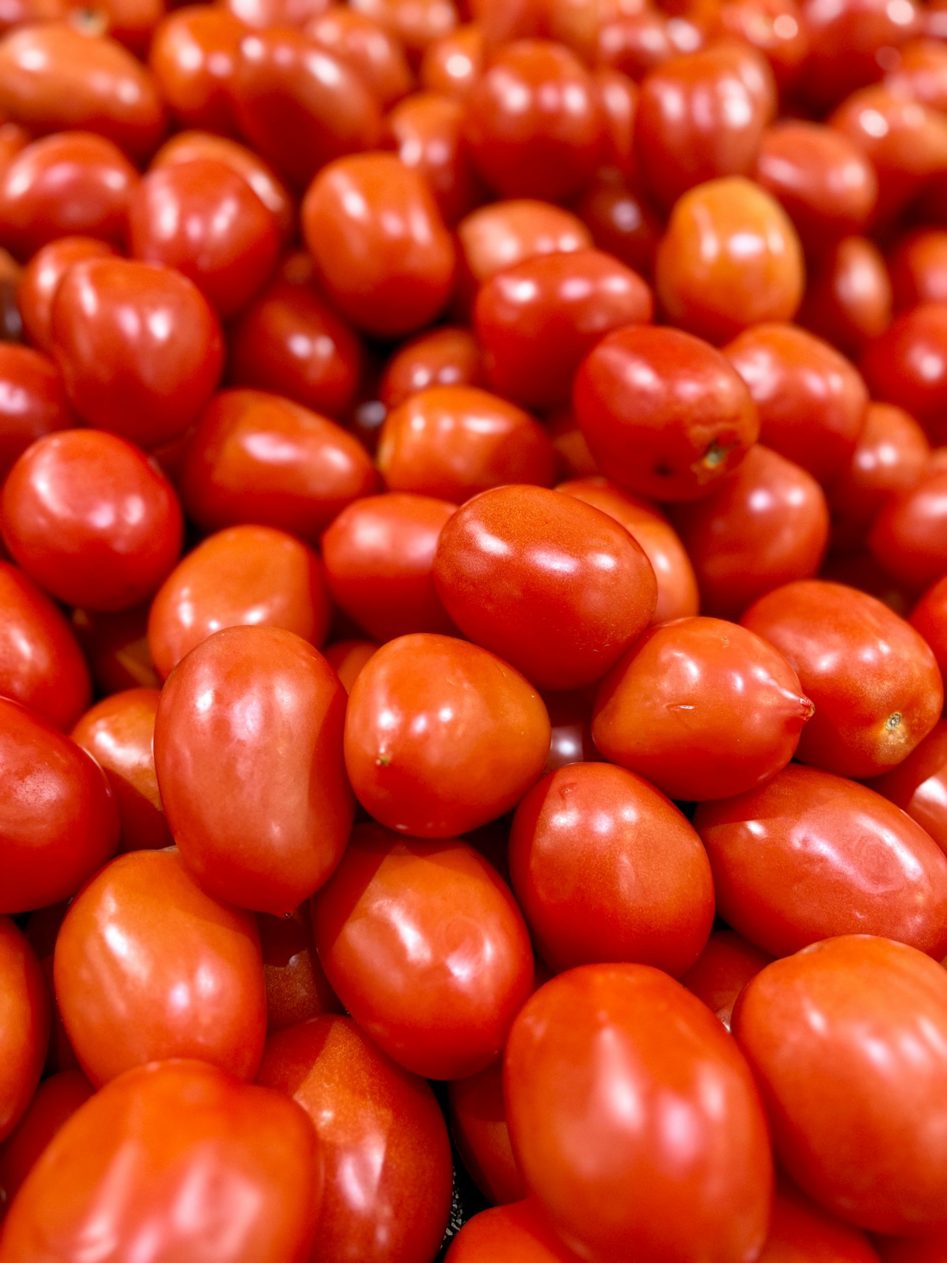 A pile of Plum Tomatoes
