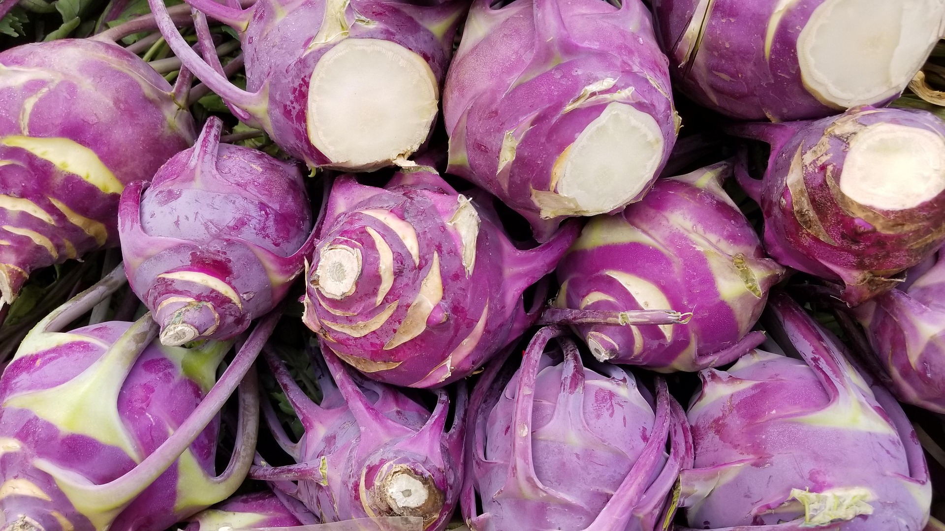 Harvested Purple Kohlrabi stems