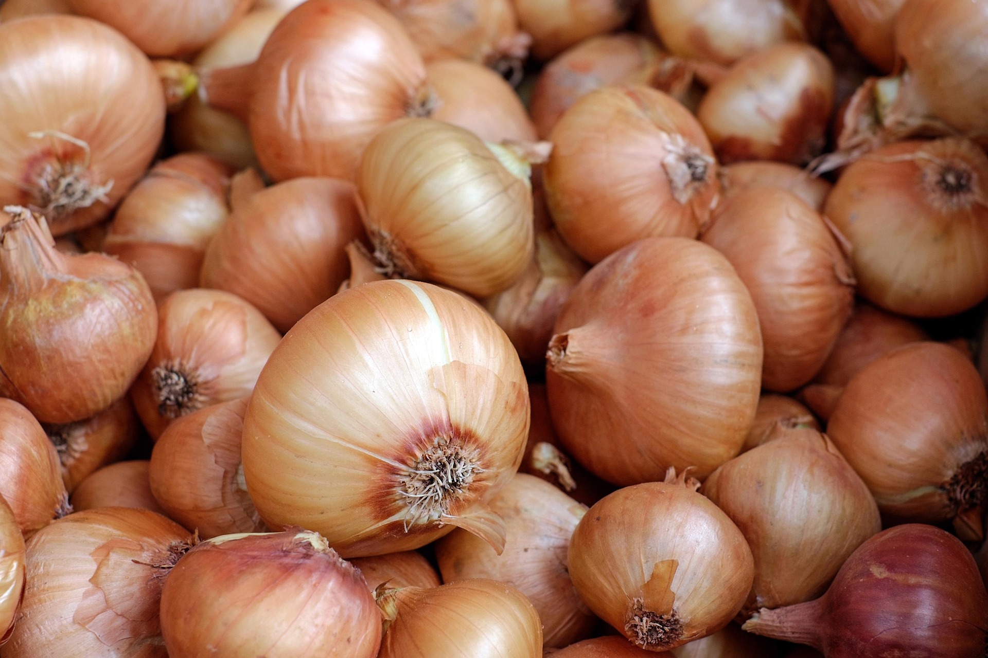 A pile of Sweet Onions