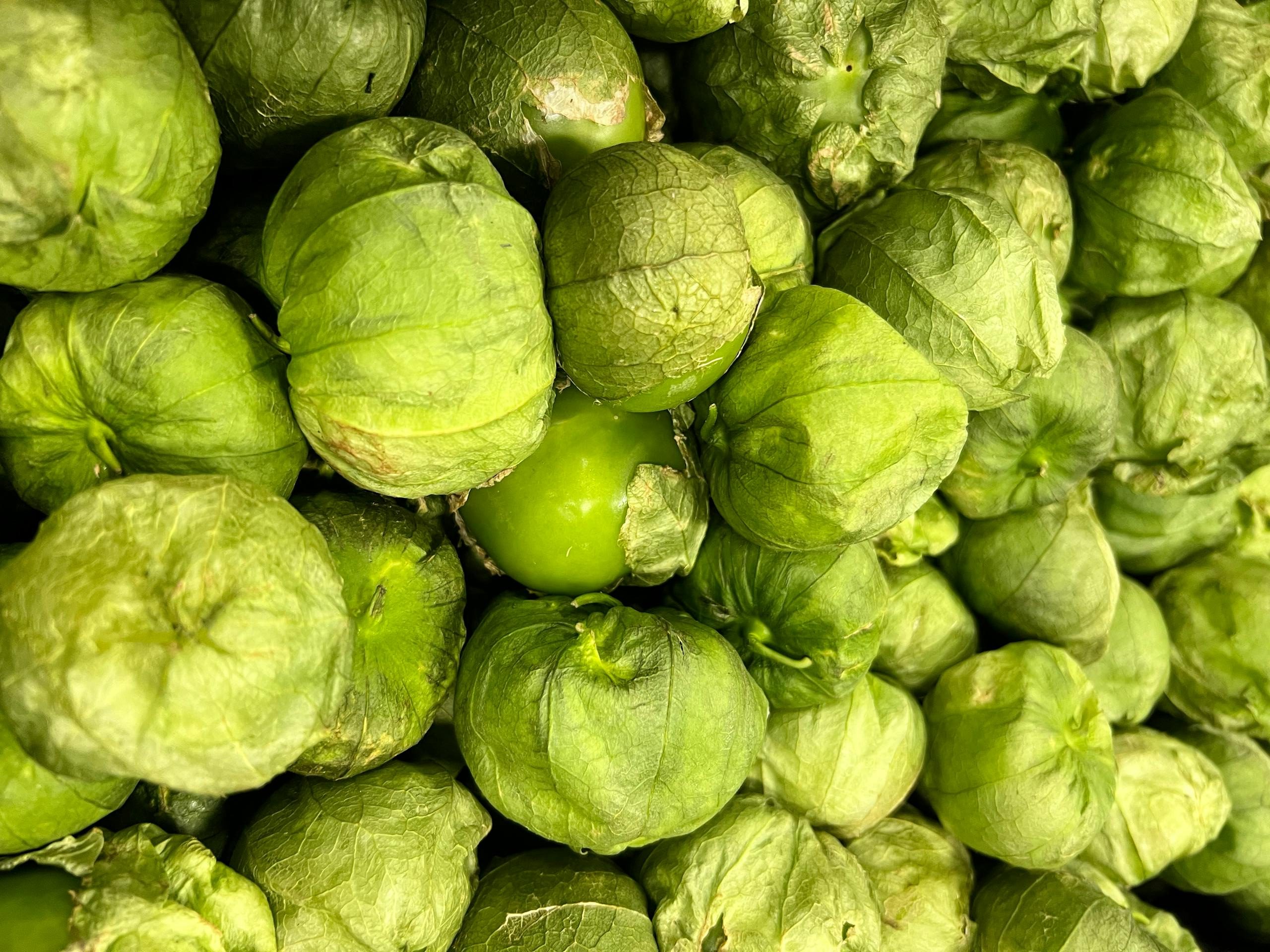 A pile of Toma Verde Tomatillos