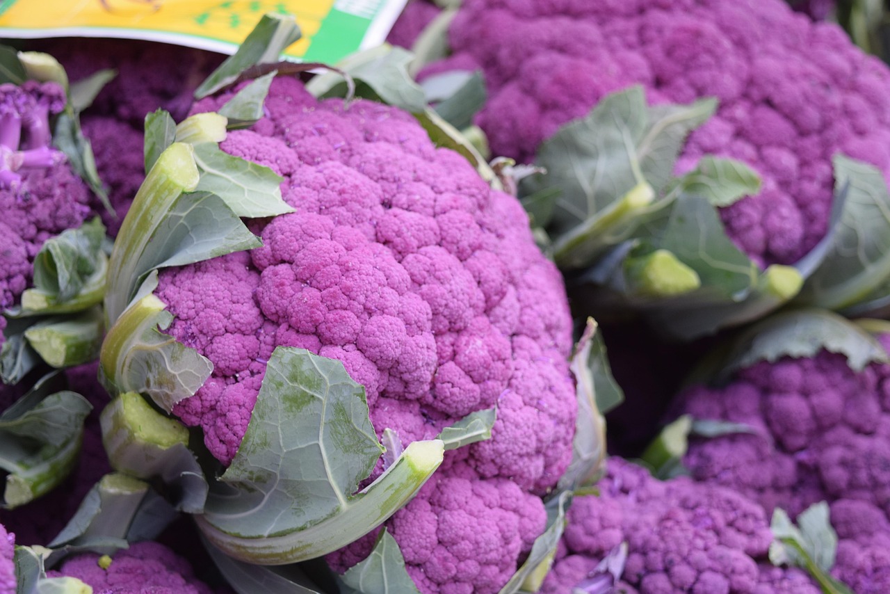 Violet Cauliflower heads