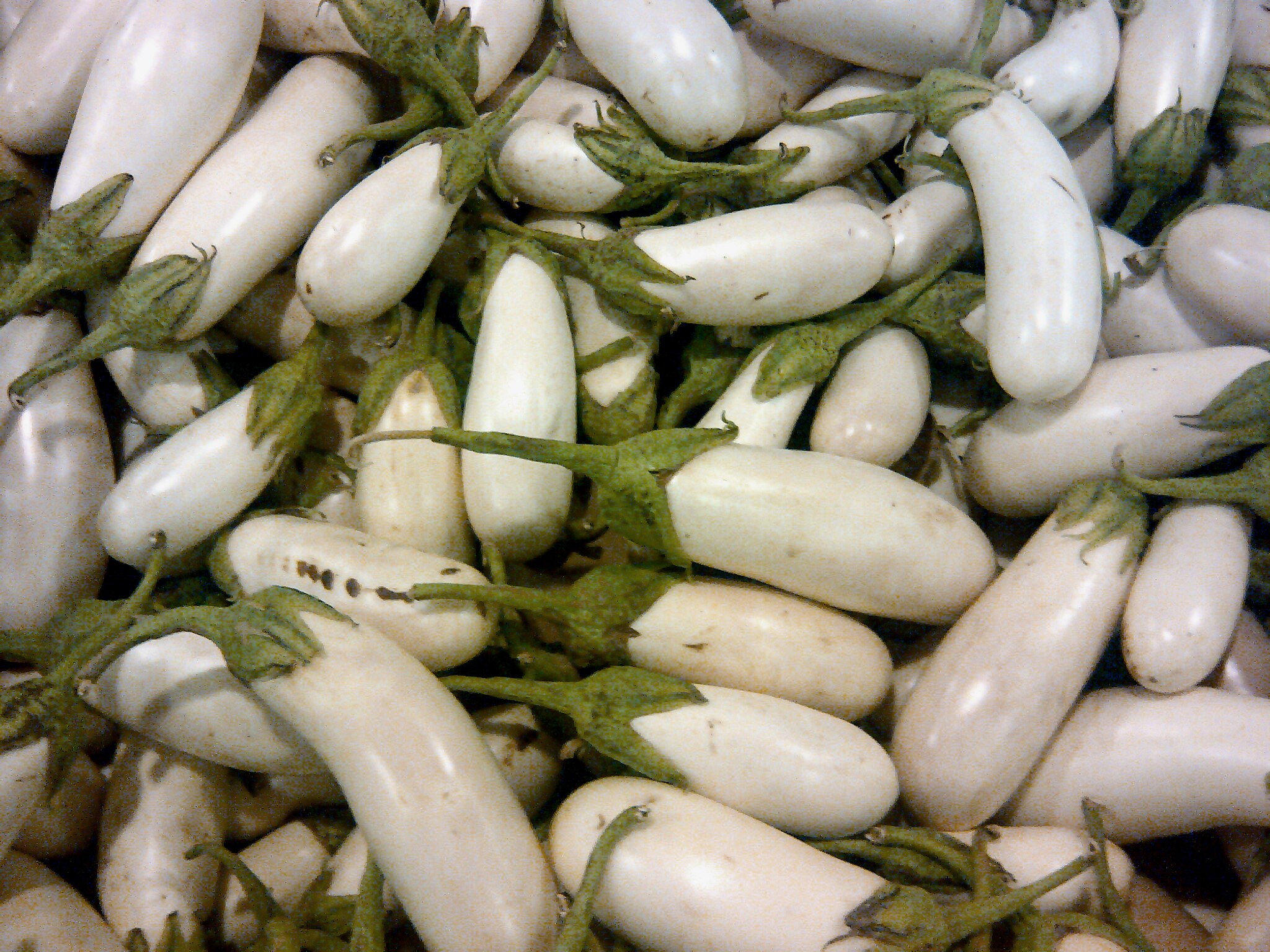 A pile of White Eggplants