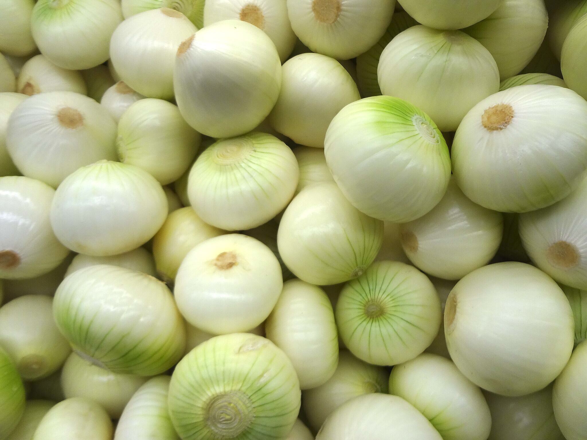 A pile of fresh White Onions